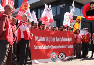 Smart Solar işçileri yalnız değildir!